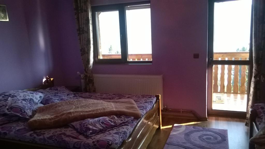 Hotel Casa Edy à Colibiţa Extérieur photo
