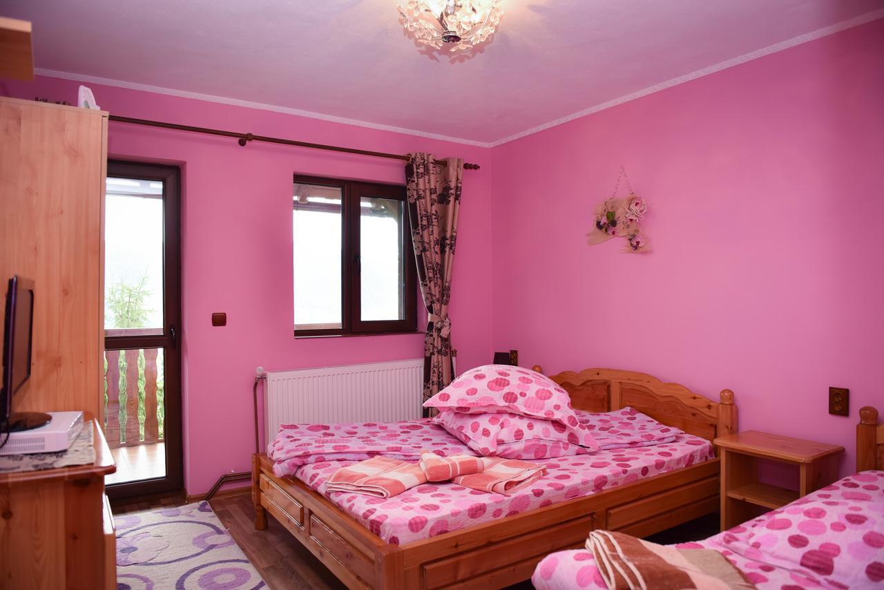 Hotel Casa Edy à Colibiţa Extérieur photo