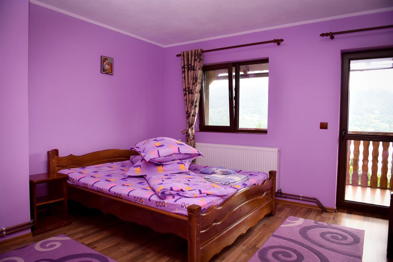 Hotel Casa Edy à Colibiţa Extérieur photo