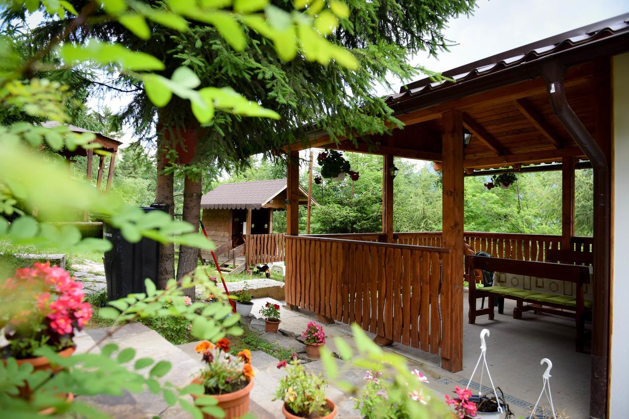 Hotel Casa Edy à Colibiţa Extérieur photo